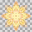 花十字D
