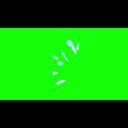 あせあせの動画素材