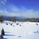 前田森林公園