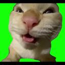 MUHEHEHE - ニコニ・コモンズ