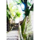 明るい階段道