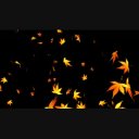 紅葉吹雪