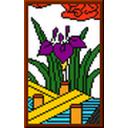 菖蒲に八橋