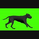 走っている犬 Gb ニコニ コモンズ