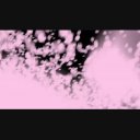舞い上がる桜[1080HD]