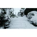 雪の階段