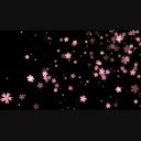 タグ検索 桜 ニコニ コモンズ