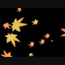 紅葉セット