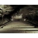 下り階段（外・夜）